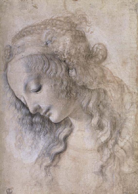 Woman portrait, LEONARDO da Vinci